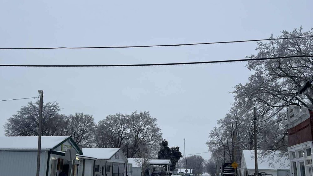 inbound7026064335251559829