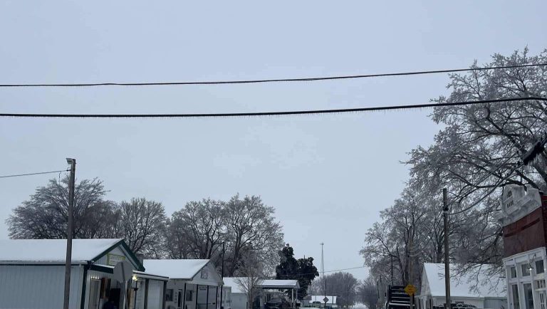 inbound7026064335251559829