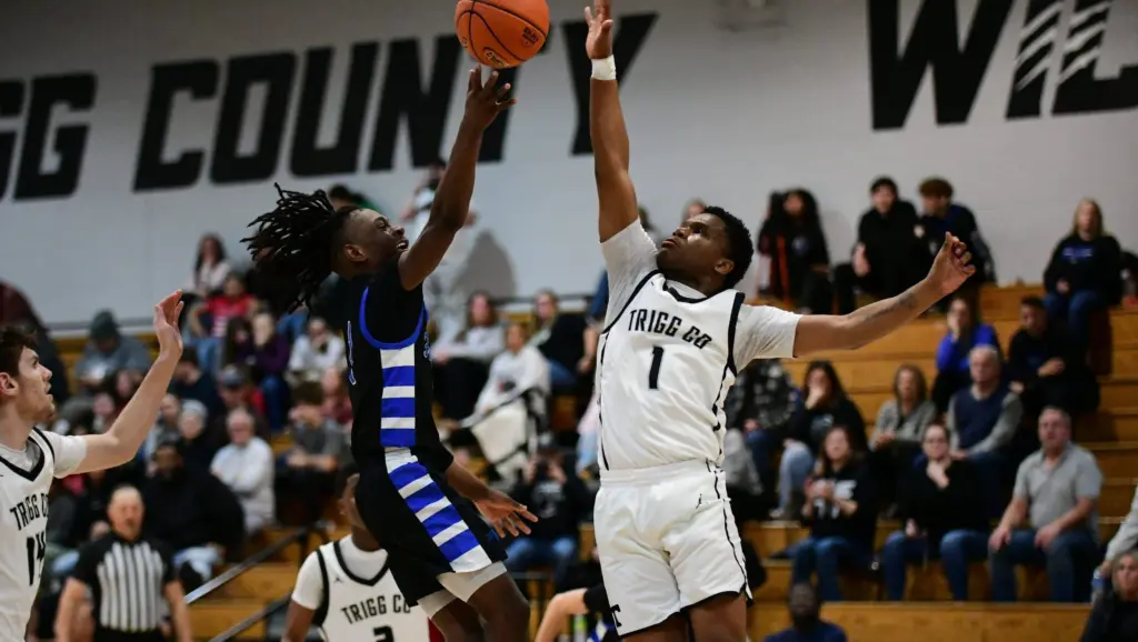 dsc_2348-e1770326797630729255