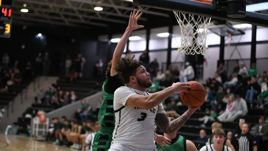 dsc_0119-e1771448307212537728