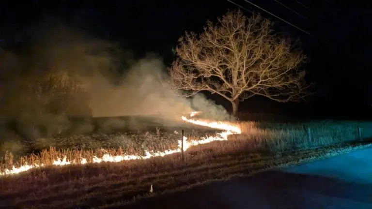 img_20260224_202137_copy_1000x563