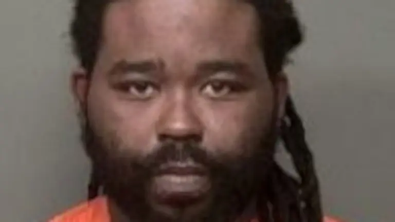 649501791_1389878343169306_2144121930977205750_n