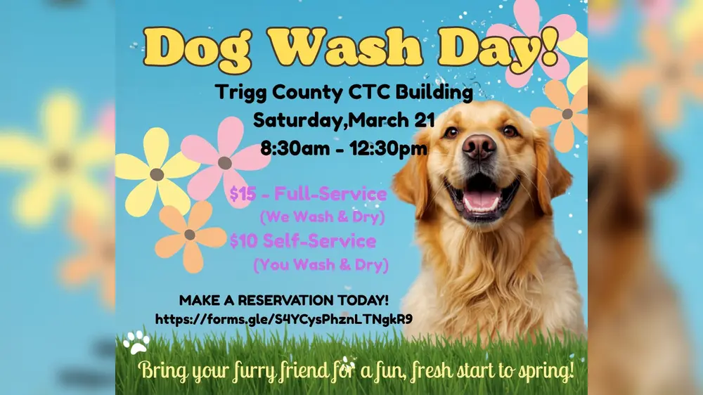 dog_wash_day_with_bgc