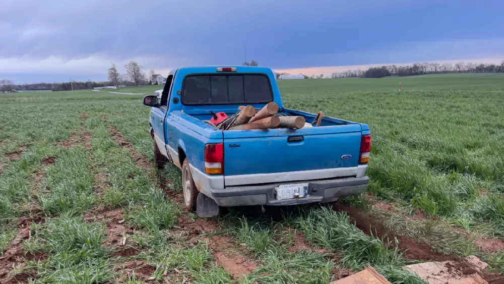 screenshot_20260318-113911