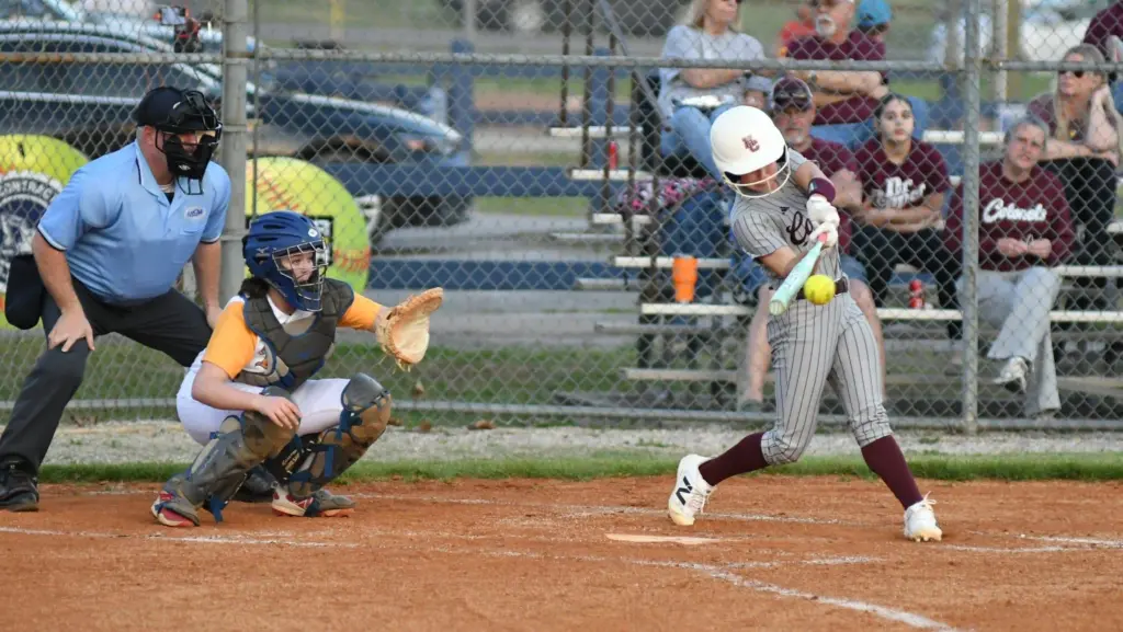 dsc_4392-e1774070852194525629