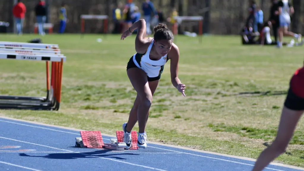 dsc_8240-e1774848715141709607