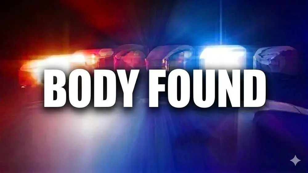 body-found-graphic-google-gemini-jpg-2