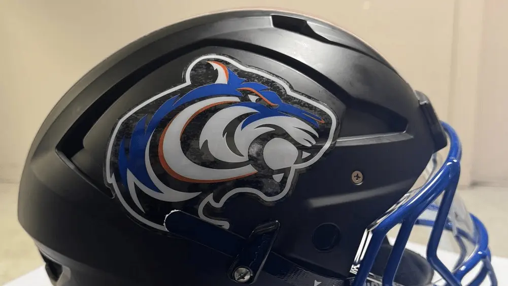 tigers-helmet316216