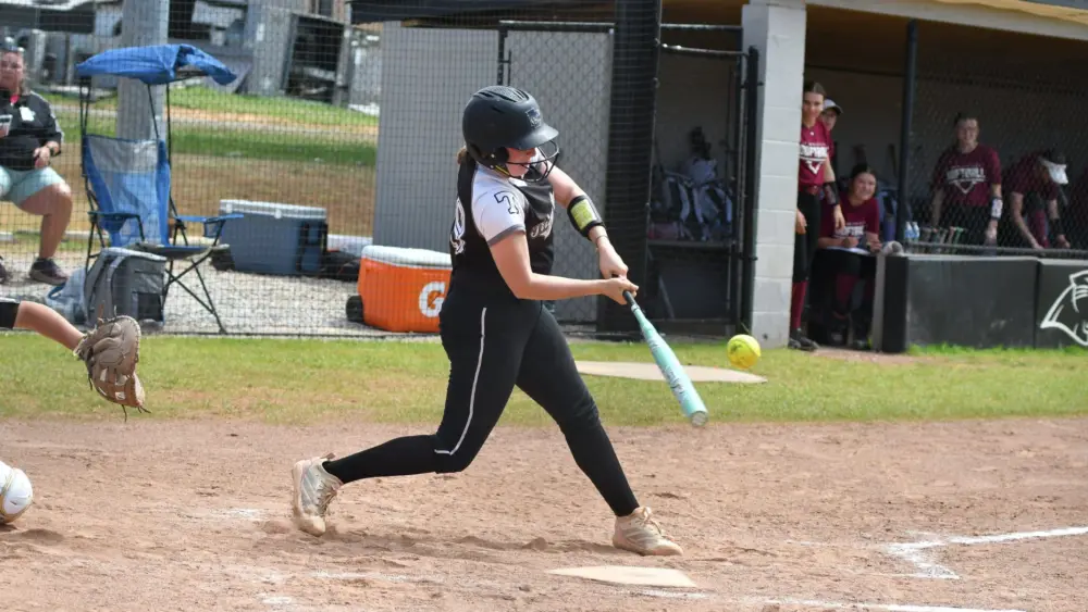 dsc_0726-e1775250292819884947