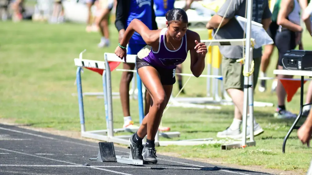 dsc_2032-e1775427679693487039