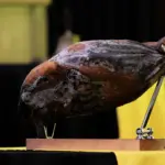 041326-rotary-breakfast-1