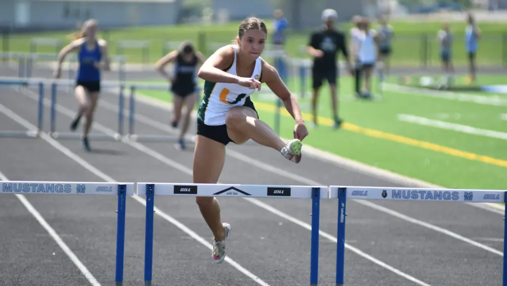 dsc_3713-e1776201612412239785