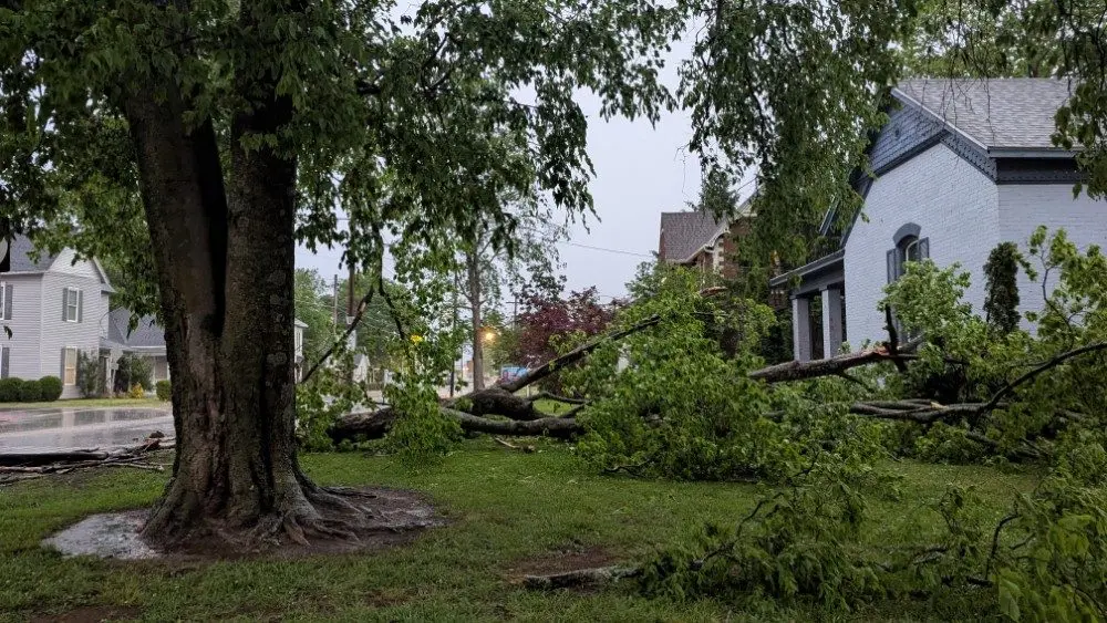 Man Rushed To Hospital After A Tree Fell On His House | WKDZ
