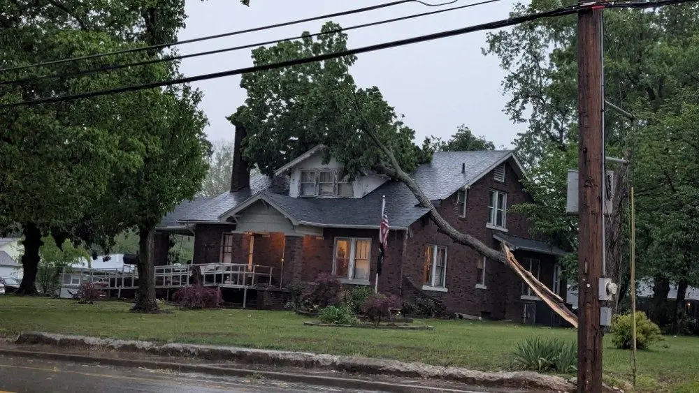Man Rushed To Hospital After A Tree Fell On His House | WKDZ