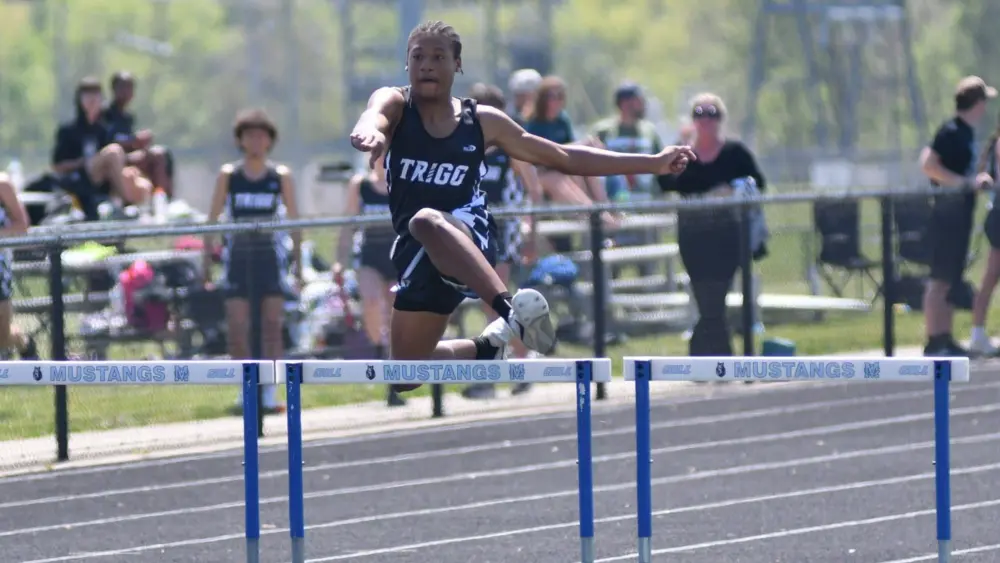 dsc_3781-e1776913894374435678