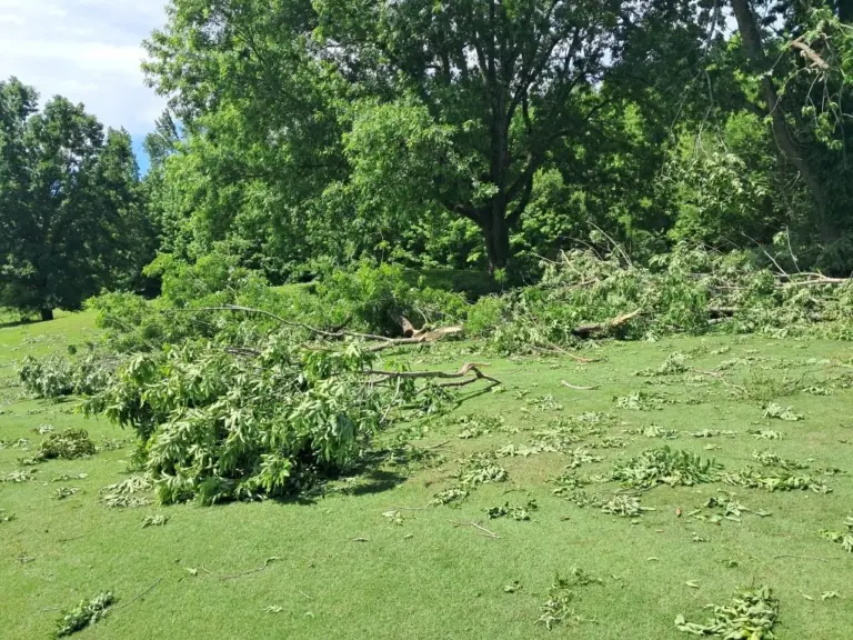 resized_20250517_112137_1747507536597