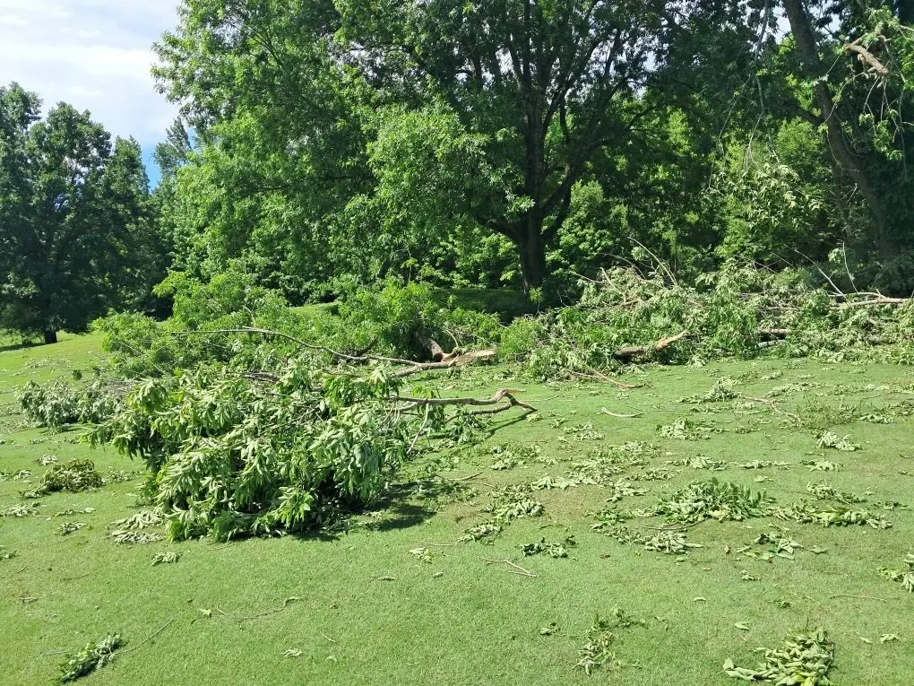 resized_20250517_112137_1747507536597