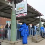 img_1355_copy_1000x563