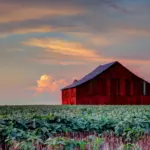 051826-barn-on-redd-lane