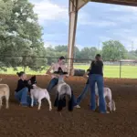 2026-trigg-ag-fair-8