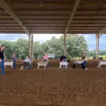 2026-trigg-ag-fair-9