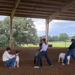 2026-trigg-ag-fair-10