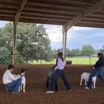 2026-trigg-ag-fair-11
