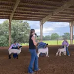 2026-trigg-ag-fair-12