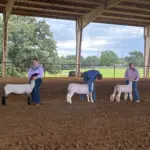 2026-trigg-ag-fair-13