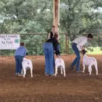2026-trigg-ag-fair-16