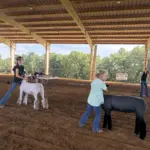 2026-trigg-ag-fair-17