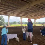 2026-trigg-ag-fair-18