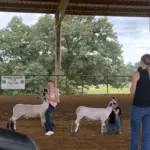 2026-trigg-ag-fair-19