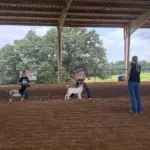 2026-trigg-ag-fair-22