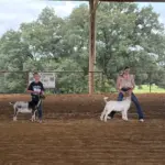 2026-trigg-ag-fair-23