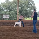2026-trigg-ag-fair-24