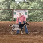 2026-trigg-ag-fair-25