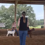 2026-trigg-ag-fair-27