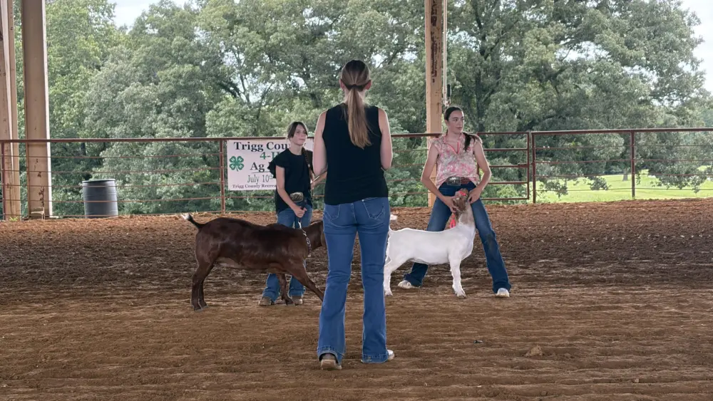 2026-trigg-ag-fair-28