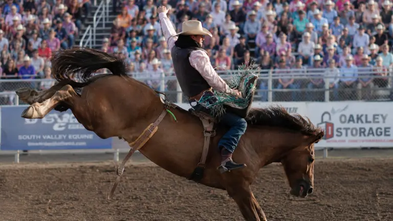 rodeo-2