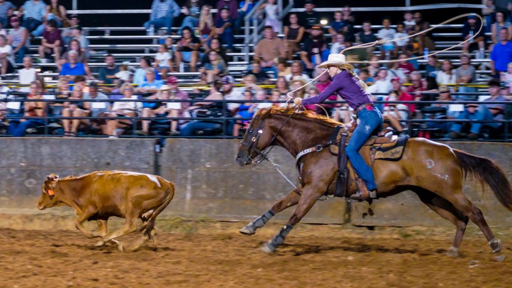 Lonestar Rodeo Draws Strong Crowds, Record Youth Participation and Scholarship Support