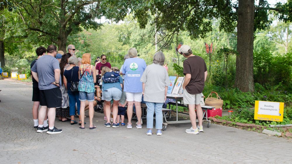 Hummingbird Festival Takes Flight At Jeffers Bend