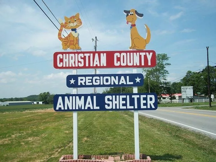 Christian County Animal Shelter Reports 406 Animals Taken In During July