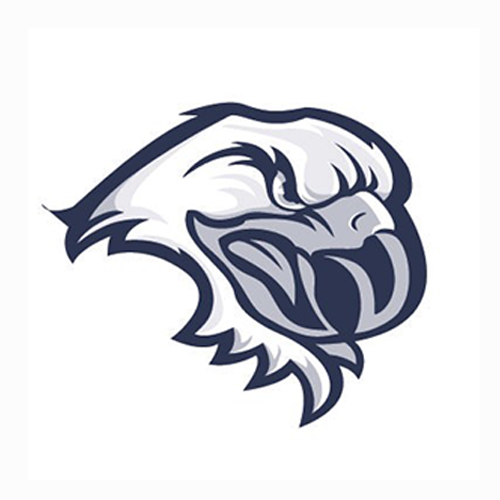 500-blue-mt1png