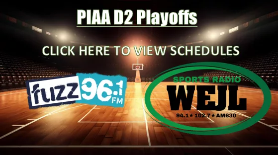 D2 Playoffs