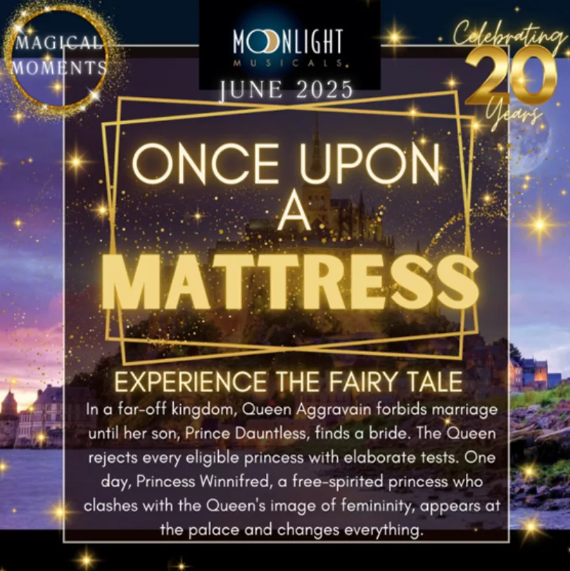 once-upon-a-mattress853056
