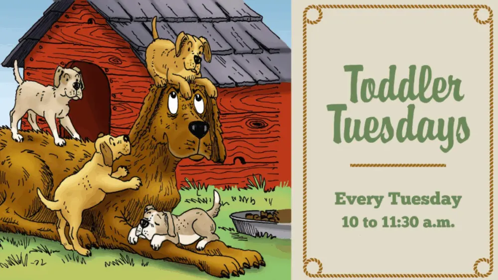 todd-tues-updated39261