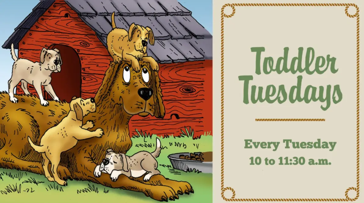 todd-tues-updated39261