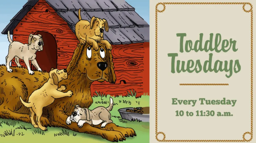 todd-tues-updated89960