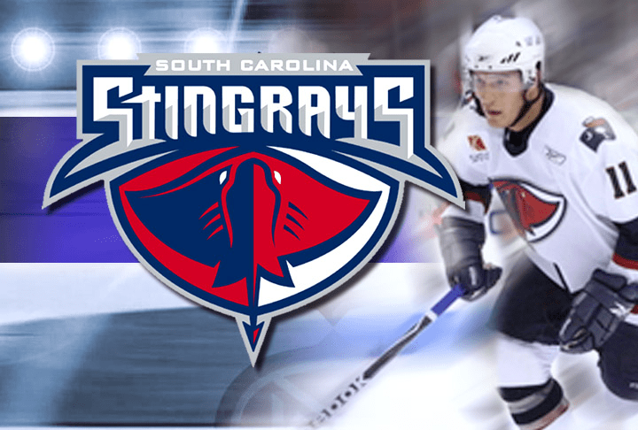 Charleston Stingrays Hockey 105.5 The Bridge